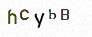 Visual Confirmation Security Code