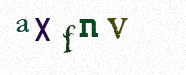 Visual Confirmation Security Code